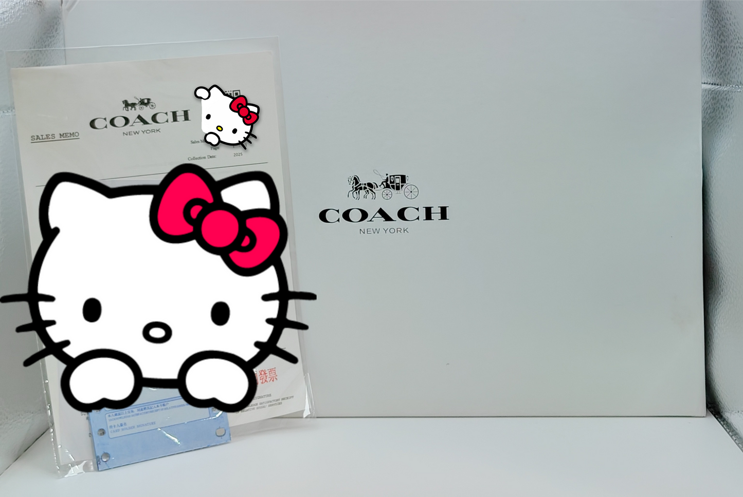 SET COACH PARA DAMA 🎀🎁
